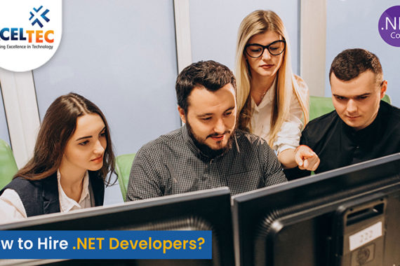 .net-devloper-6